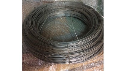 проволоку жаропрочную 0,2 мм AISI 321 купить в Владимире